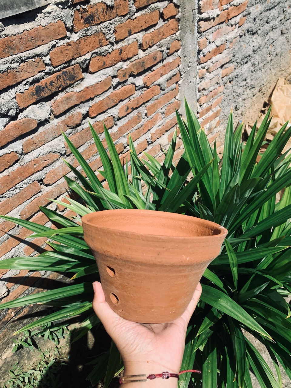 Foto Produk Danis Ira Ferdiansyah