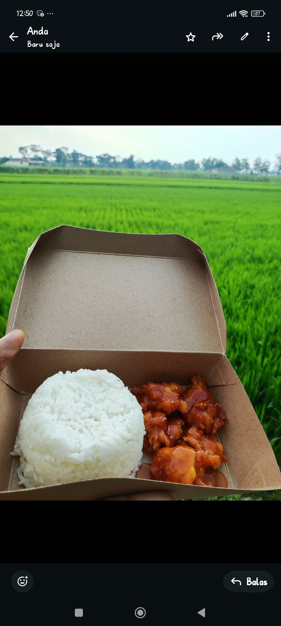 Foto Produk Chahyadi Ahadia Saputro 