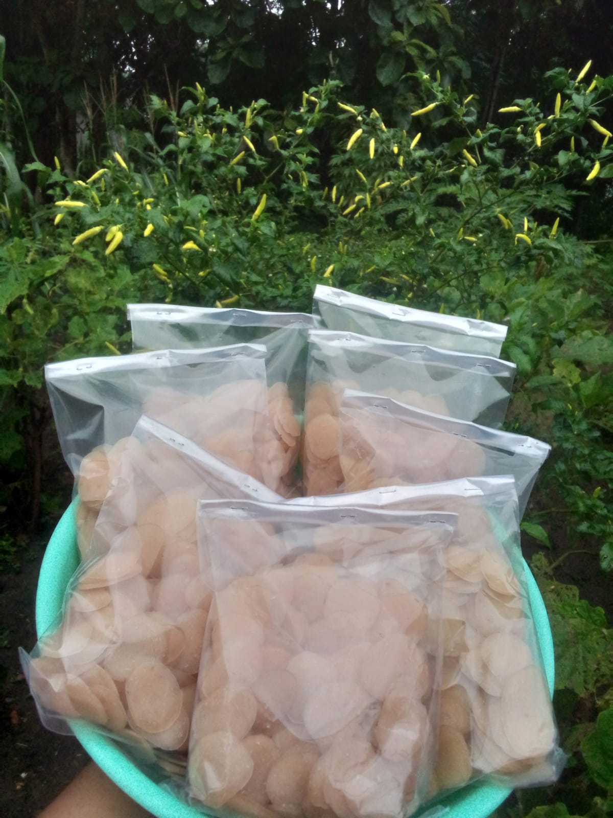 Foto Produk Mulyani yuliana sari